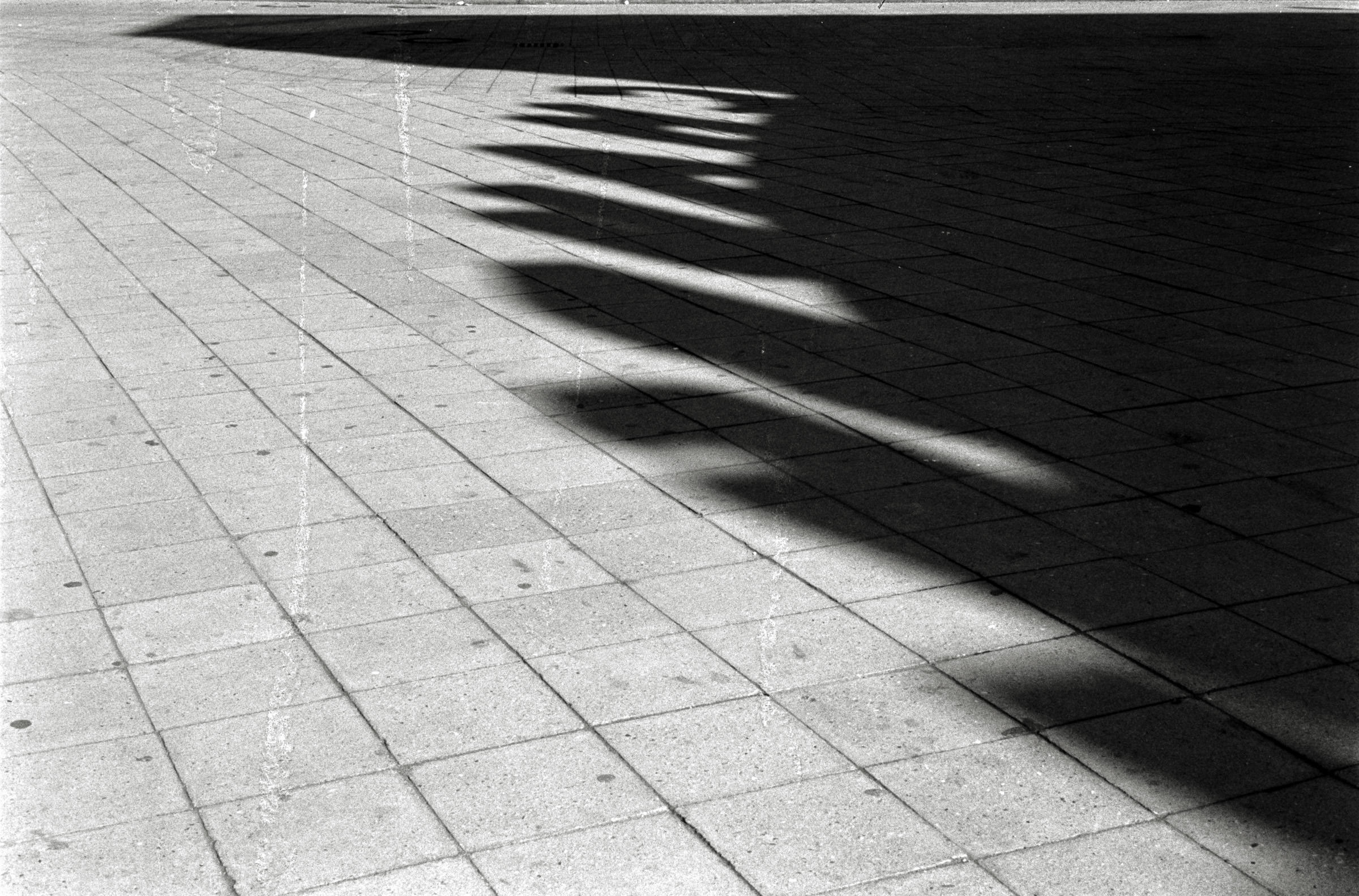 AHP F1993 03 006 sc240902 img12 NLP